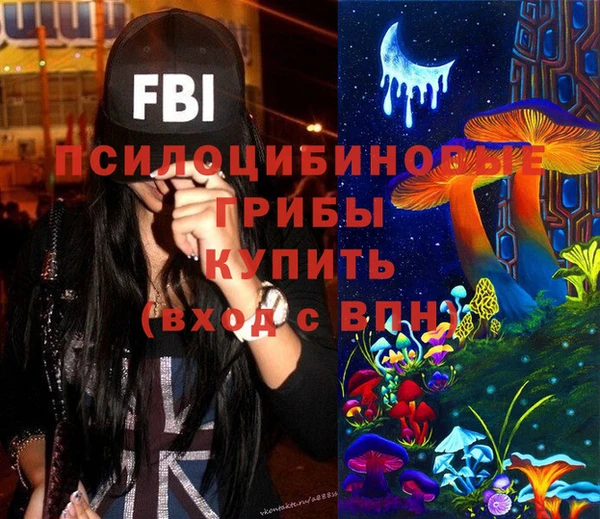стафф Зеленокумск