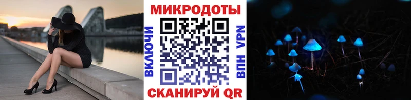 Купить  Старая Русса  Галлюциногенные грибы Cubensis 